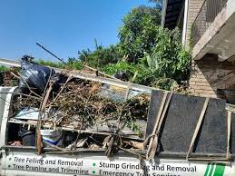 Best Recycling Services for Junk  in Lake Hiawatha, NJ